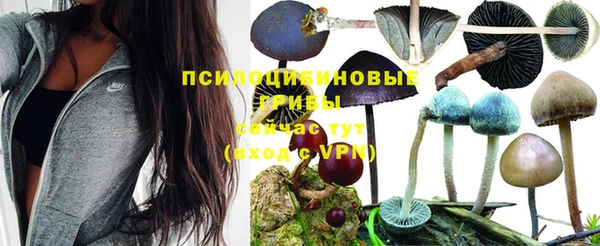 скорость mdpv Балабаново