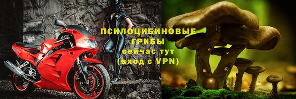 кокс Баксан