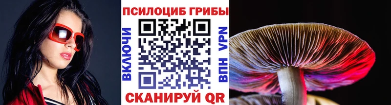 Псилоцибиновые грибы Psilocybe  продажа наркотиков  Сертолово 